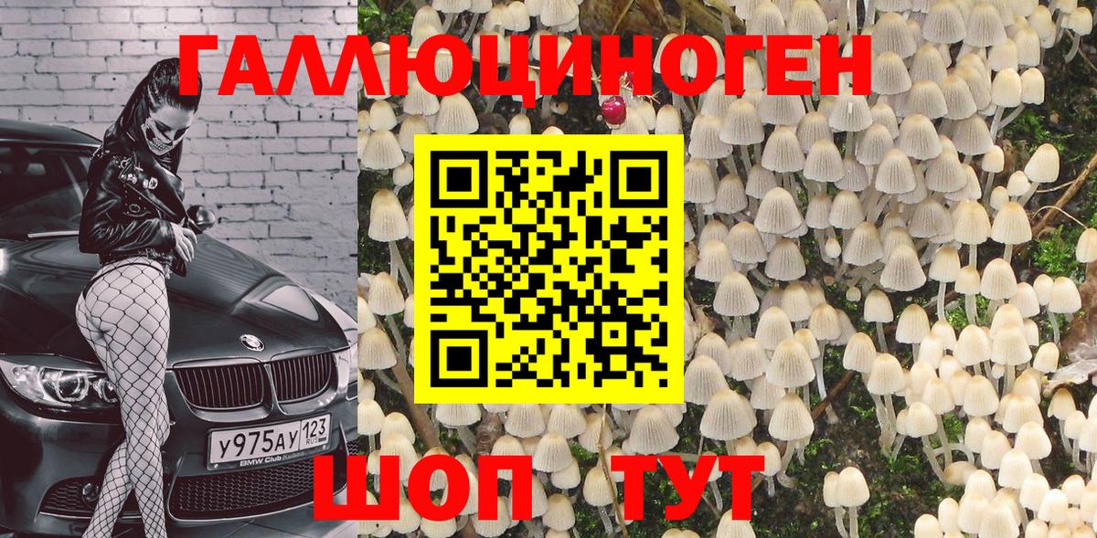 Стрежевой  Псилоцибиновые грибы Psilocybe  Вход с VPN 